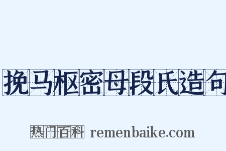 挽马枢密母段氏造句是什么意思的图片